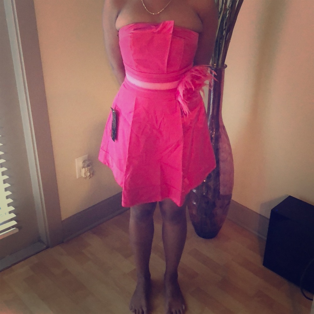 Pink Bebe mine dress